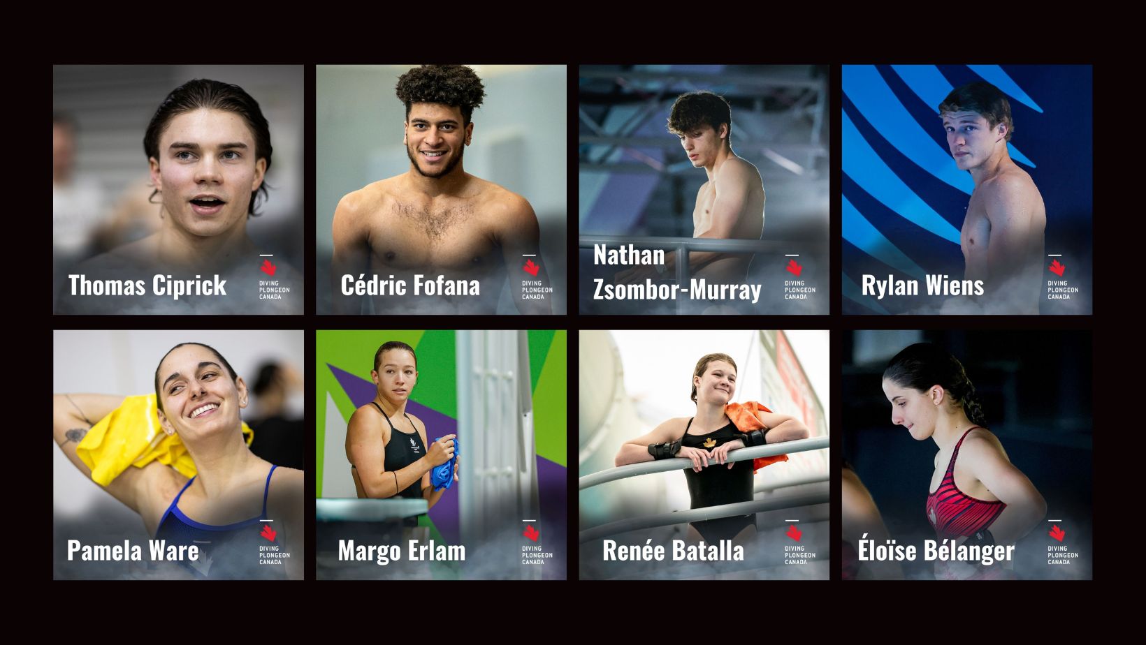 Eight Canadian divers in action this weekend in Leon